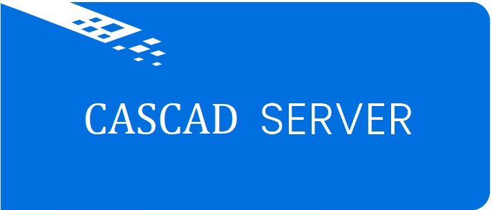 Лицензия каскадирования для сервера редакции Vinteo Standard VI-S002A